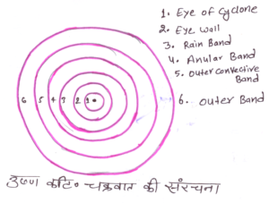 उष्ण एवं शीतोष्ण कटिबंधी
