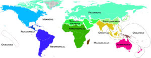 What is biodiversity
